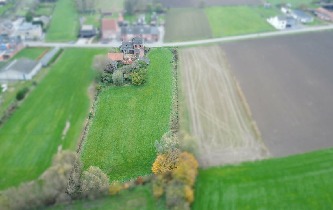 Hoeve te koop in Dendermonde