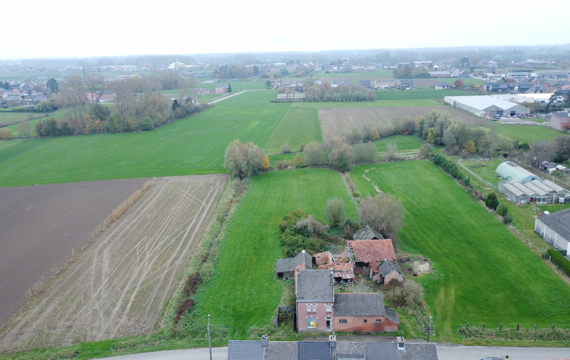 Hoeve te koop in Dendermonde