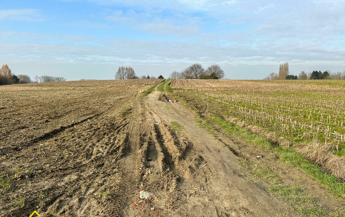 Landbouwgrond te koop in Moorsel